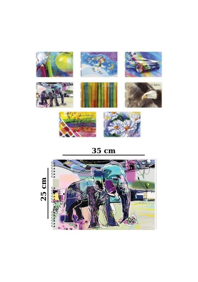 25x35 Cm 60 Yaprak Resim Defteri Spiralli 1 Adet