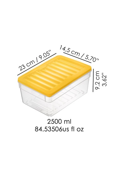 4'lü Derin Buzdolabı Organizer Set Düzenleyici Saklama Kabı Mikrodalga Difriz Kabı 2500ml Sarı Çok Renkli