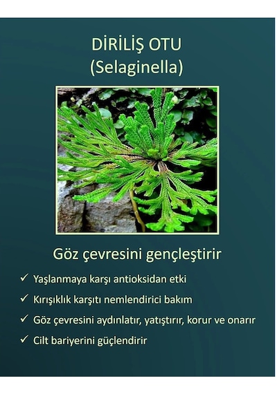 Jomtam Diriliş Otu Nemlendirici Göz Kremi 20 G