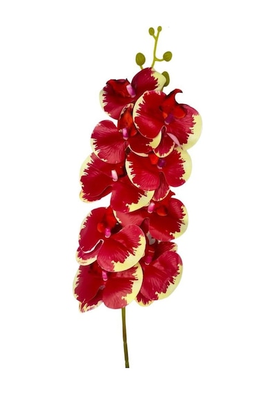 Yapay Çiçek Kırmızı Krem Islak Orkide Gerçeksi Doku Uzun Dal 90 Cm