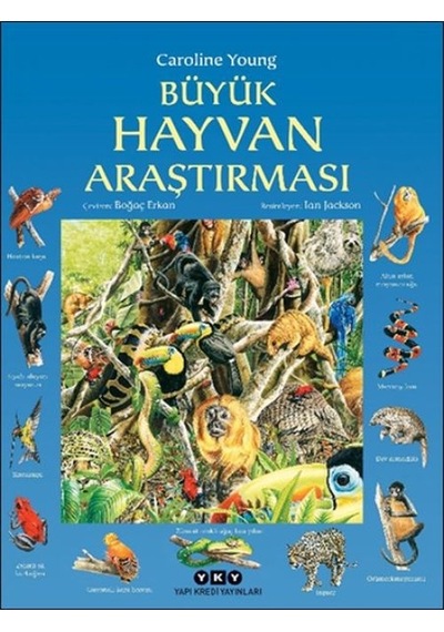 Büyük Hayvan Araştırması - Rxlu-764745
