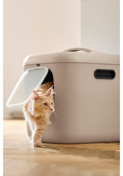 Biala Xl Kedi Tuvaleti Büyük Kediler Ve Çok Kedili Evler İçin İdeal