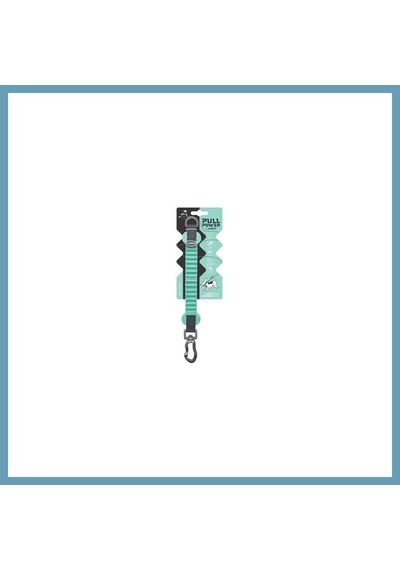 M-pets Pull Power Köpekler İçin Şok Emici Ara Tasma Yeşil 25 Cm Mbt06