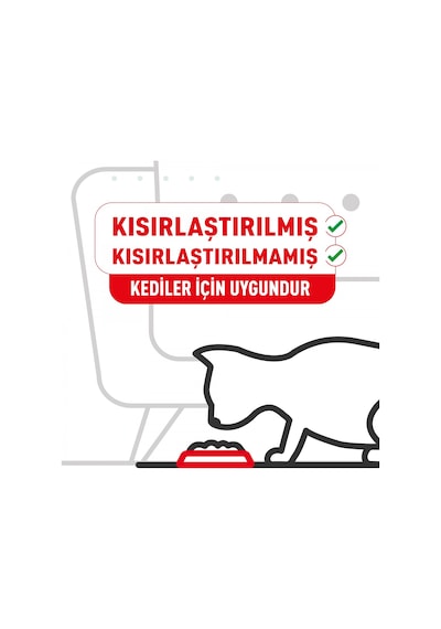 Royal Canin Persian Loaf Pouch Yetişkin Kedi Yaş Maması 12 x 85 G