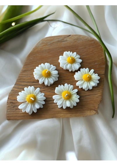 Bernami Biblo Pinterest 10 Adet Papatya , Nikah Şekeri, Doğum, Sünnet, Düğün Nişan Söz, Kına, Doğum Günü