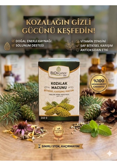 Kozalak Macunu 240 G %100 Doğal Katkısız Geleneksel Çam Kozalağı Macunu