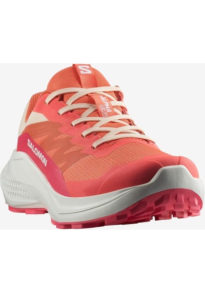 Salomon Alphaglide Kadın Koşu Ayakkabısı - L47801700-7204 Çok Renkli