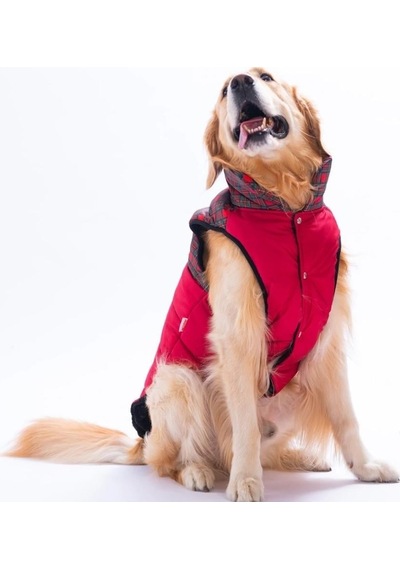 Pawstar Kırmızı Elgin Paws Su İtici Orta-büyük Irk Köpek Puf Yelek Yağmurluk