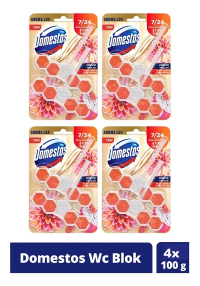 Domestos Tuvalet Bloğu Yıldız Çiçeği & Ejder Meyvesi 4 x 100 G