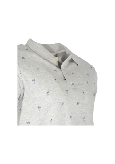 Polo Tshirt Erkek Gri Tshirt 20815.05 Siyah
