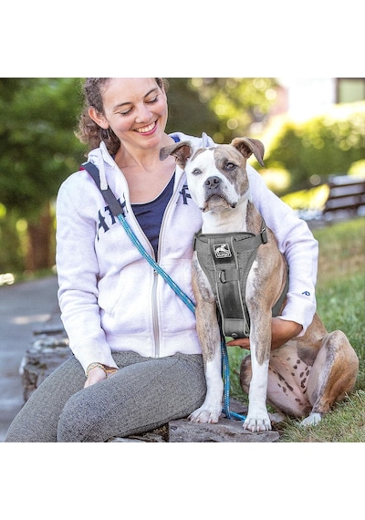 Tr Köpek Koşum Takımı Pet Walking Koşum Takımı No Pull Koşum Ön Klips Fonksiyonu Antrenman İçin Araç Em Genel