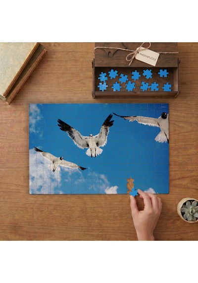 Gükyüzünde Uçan Martılar Tasarımı 240 Parça Ahşap Puzzle Ahşap Kutuda Mpy60137