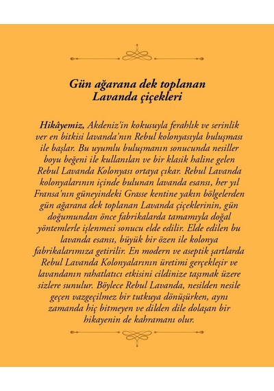 Rebul Lavanta Kolonya 125 Ml Spreyli Pet Şişe 6 Lı Set