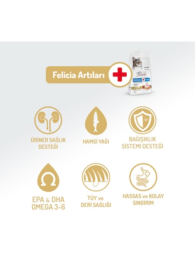 Felicia Derma Care Somonlu Düşük Tahıllı Yetişkin Kedi Maması 12 KG