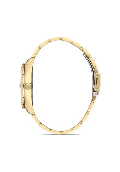 Ferro F11211a-b2 Quartz Çelik Altın Rengi Siyah Kadran 41 Mm Erkek Kol Saati