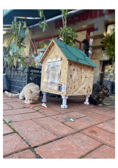 Reyo Narım Kedi Evi, Yerden Yüksek Kedi Yuvası, Su Ve Isı Yalıtımı İç Ve Dış Mekan Kedi Barınağı 33x38x40cm - Monteli Teslimat