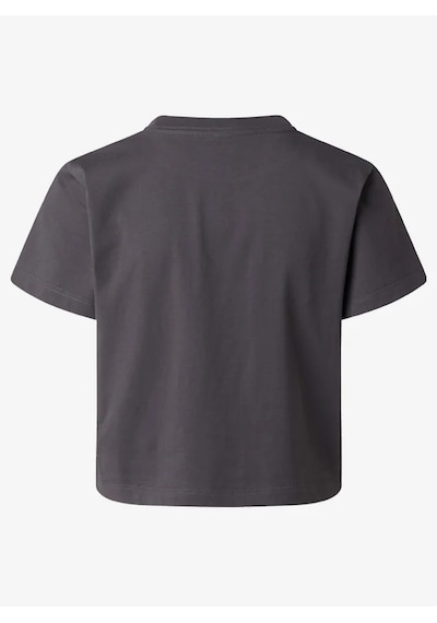 The North Face Nf0a8gr1-g70 W Essential Regular Short Sleeve Cutie Kadın T-shirt Gri