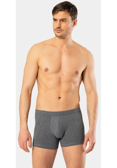 Cacharel Erkek Likralı Boxer 1335/Antrasit 001