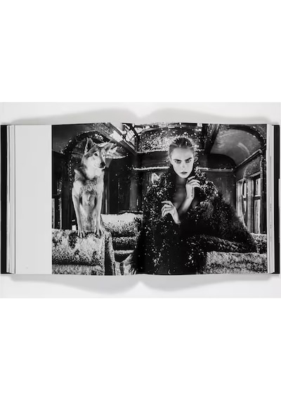 Rizzoli David Yarrow The Collection 9780847875528