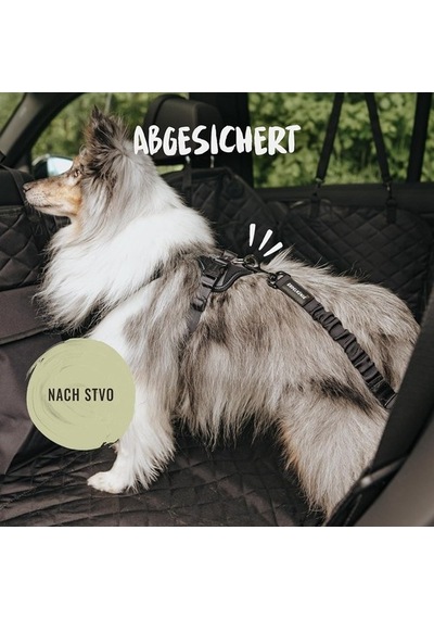 Alman Kalitesi Rudelkönig Ayarlanabilir Elastik Köpek Emniyet Kemeri 60 - 80 Cm Çok Renkli