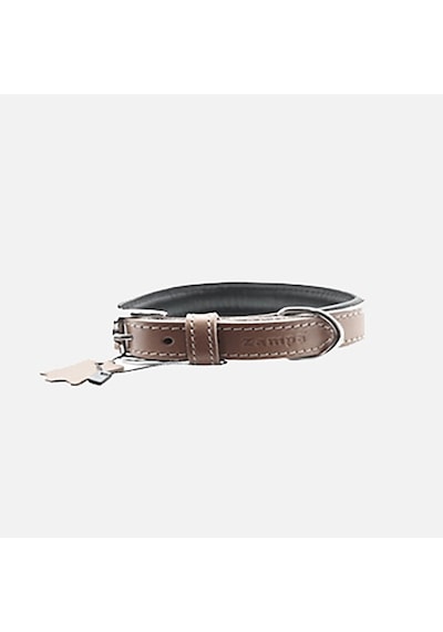 Zampa Classic Xs Köpek Boyun Tasması Kahverengi 42 Cm
