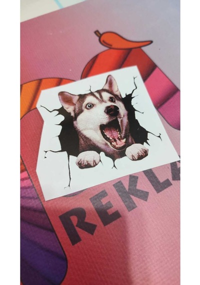 3d Desenli Husky Köpek Figürlü Sticker Etiketi