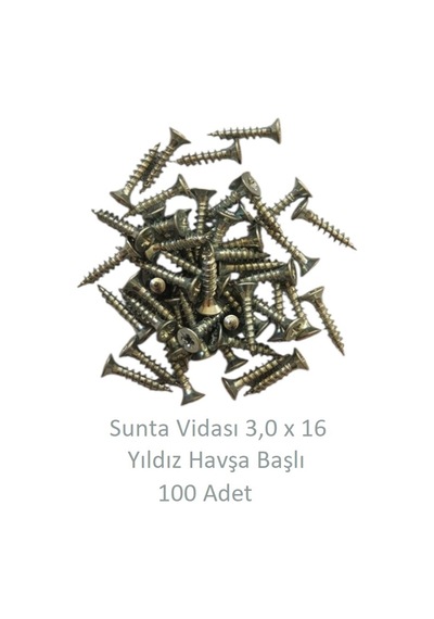 Sunta Vidası, 3,0 X 16 Mm, 100 Adet, Yhb Vida 3 x 16