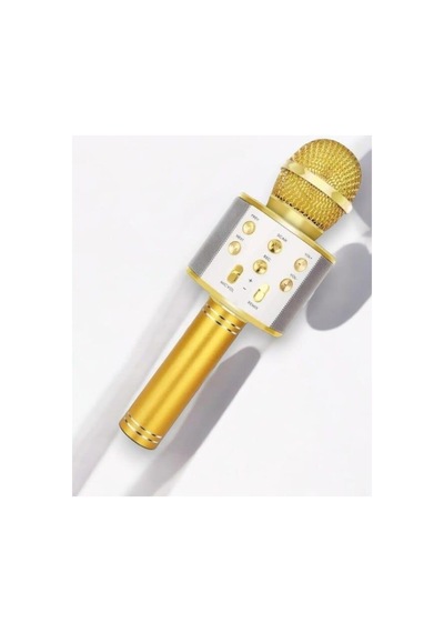 Kareoke Mıkrofon - Hs08379811-1513 Renkli