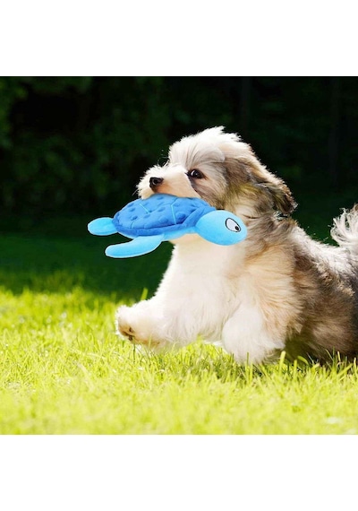 Sesli Hışırtılı Peluş Kaplumbağa Köpek Oyuncağı 25 Cm
