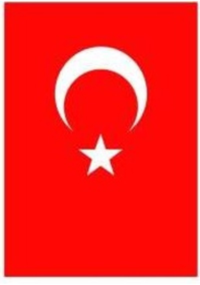 Türk Bayrağı Alpaka Kumaş 70X105Cm