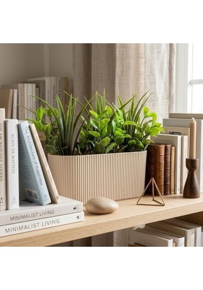 Dekoratif Yapay Sukulent Bitki Saksısı Modern Masaüstü Yapay Bitki Aranjmanı, Dekoratif Plastik Saksı İle Ev, Ofis Ve Raf Dekoru 16 X 7 Cm 50 x 22 Dekoratif Yapay Sukulent Bitki Saksısı Modern Masaüstü Yapay Bitki Aranjmanı, Dekoratif Plastik Saksı İle Ev, Ofis Ve Raf Dekoru 16 X 7 Cm 50 x 22