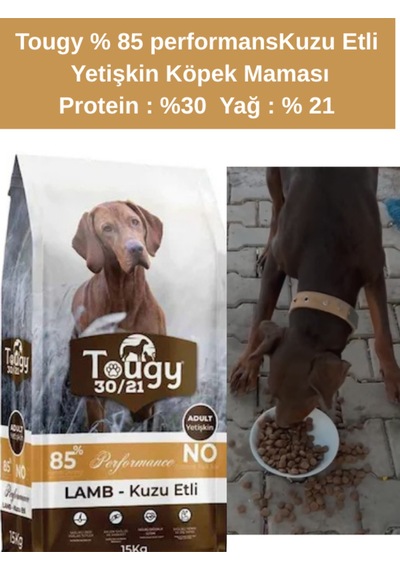Tougy Kuzulu Yetişkin Köpek Maması 15 Kg