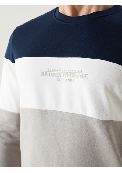 Lcwaıkıkı Classic Bej Bisiklet Yaka Uzun Kollu Renk Bloklu Erkek Sweatshirt