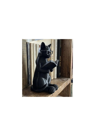 Kitaplık Aksesuarı - Kitap Okuyan Kedi 0