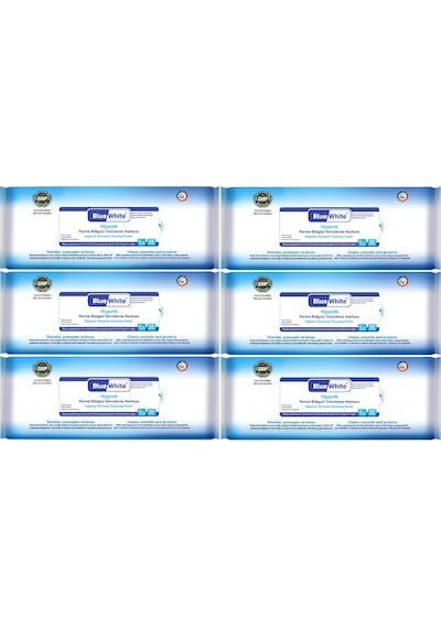 Bluewhite Hasta Perine Bölgesi Temizleme Mendil 6 Lı 50 Yaprak 6'lı Set