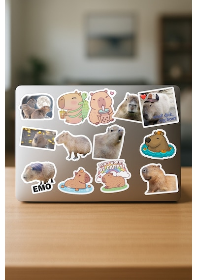 Capybara Kapibara Telefon Laptop Bullet Journal Yapışkanlı Folyo Sticker Paketi 21 Adet Çok Renkli