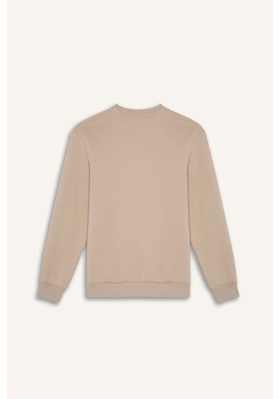 DeFacto Regular Fit Bisiklet Yaka Kalın Basic Düz Sweatshirt T3777AZ25SPBG735