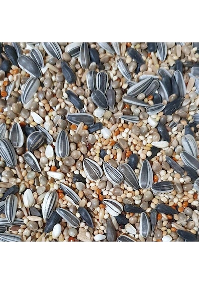 Papağan Yemi 1 Kg