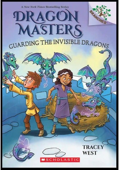 Guarding the Invisible Dragons - Dragon Masters