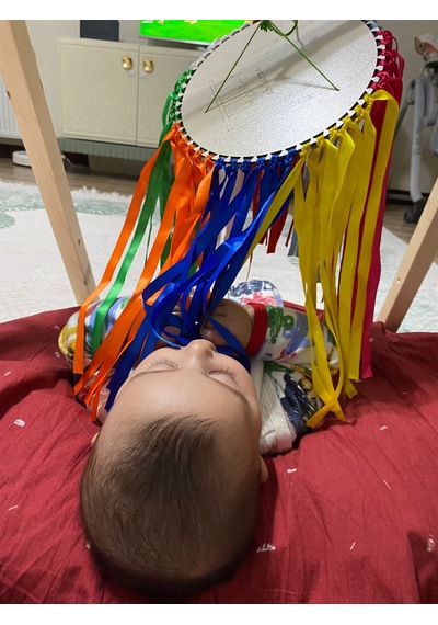 5 Ay Montessori Bebek Eğitim Kiti