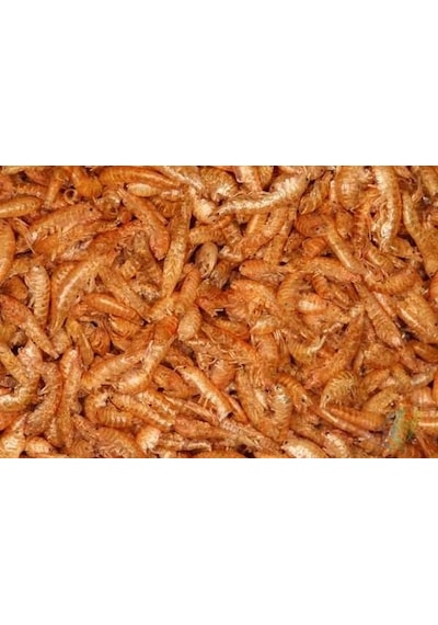Kurutulmuş Gmarus Kurutulmuş Karides 50 G.