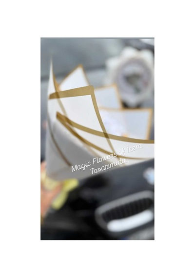 Aynalı Papatya Buketi Kelebekli Beyaz - 786137307