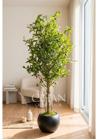 180 Cm Lüks Yapay Zeytin Ağacı - 27x33 Cm Plastik Küre Saksı Beyaz