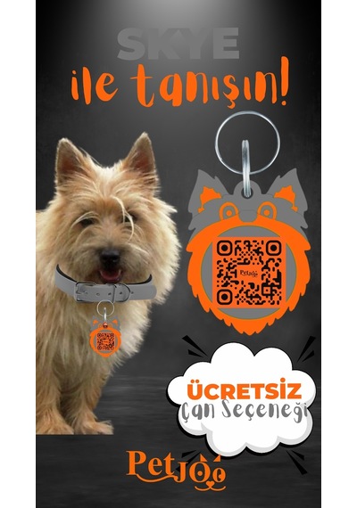 Petjoo 6.Skye Turuncu-Gri Qr'lı Köpek Künyesi