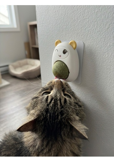 Sarı Sevimli Karakter Tasarımlı Dönen Kedi Nanesi Topu - Duvara Yapışan Doğal Catnip