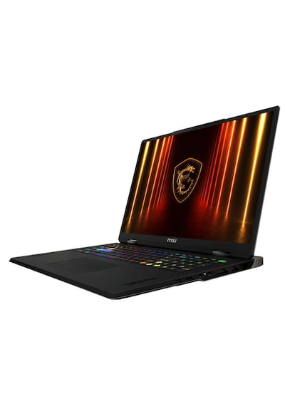 MSI Raider A8WHG-280TR R9-8940HX 32 GB 1 TB SSD 18" W11H Dizüstü Bilgisayar