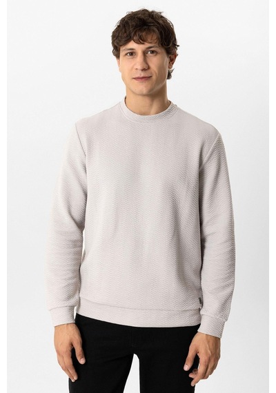 Backandbond Açık Gri Regular Fit Pamuklu Desenli Bisiklet Yaka Sweatshirt