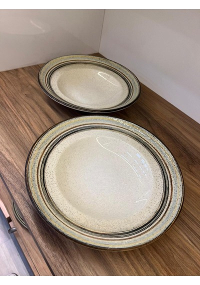 2'li Cortado Spiral Gourmet Deep Plate 27 Cm 450 Cc Salata/bowl/sulu Yemek/makarna Çok renkli