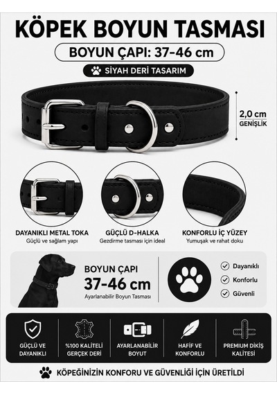 Deri Köpek Boyun Tasması 37-46 Cm 2 Cm Metal Tokalı D Halkalı Ayarlanabilir - Siyah Çok Renkli