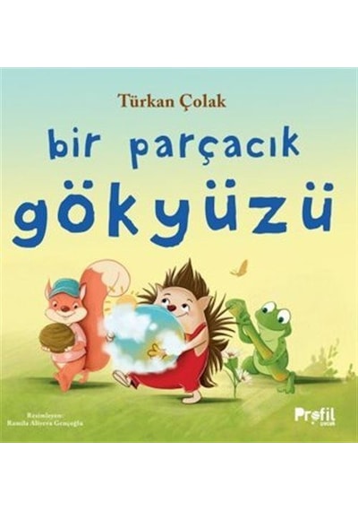 Bir Parçacık Gökyüzü / Türkan Çolak